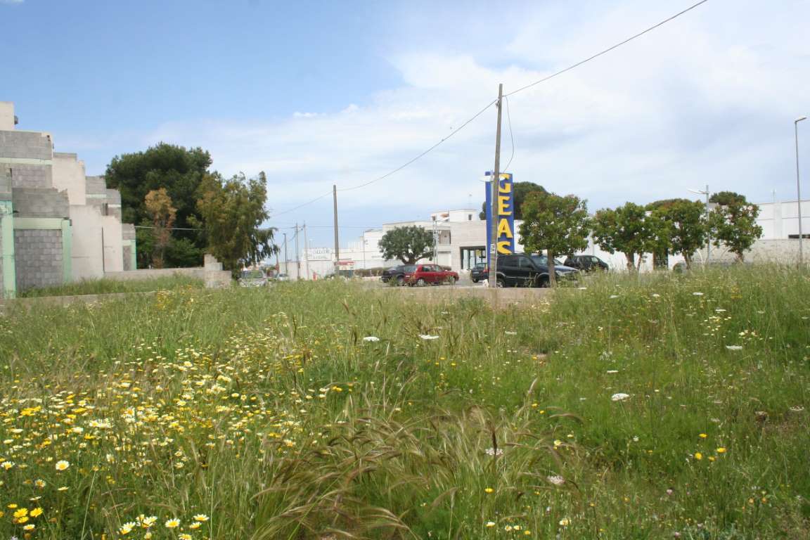 Giano Group Immobiliare
