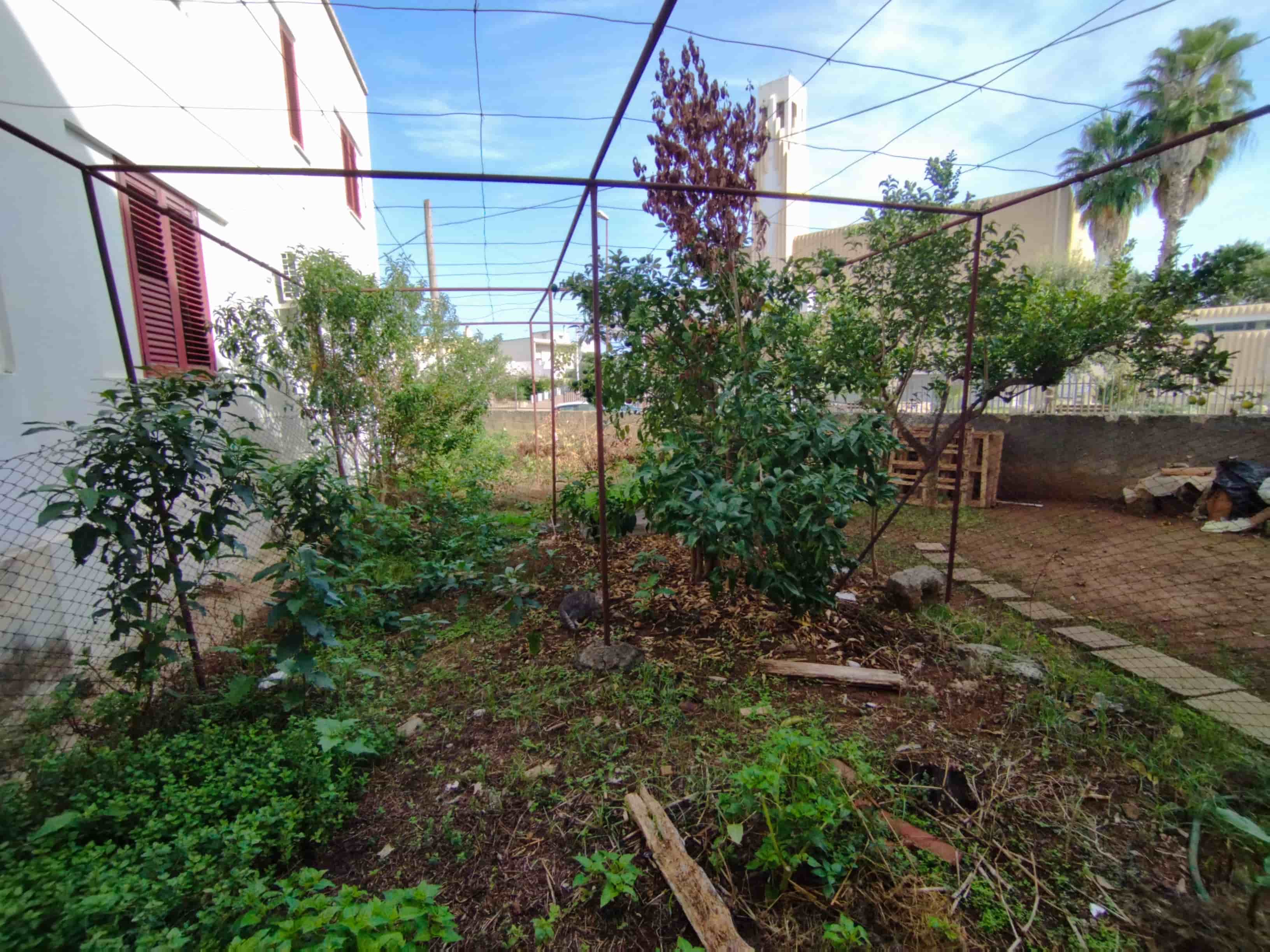 Giano Group Immobiliare