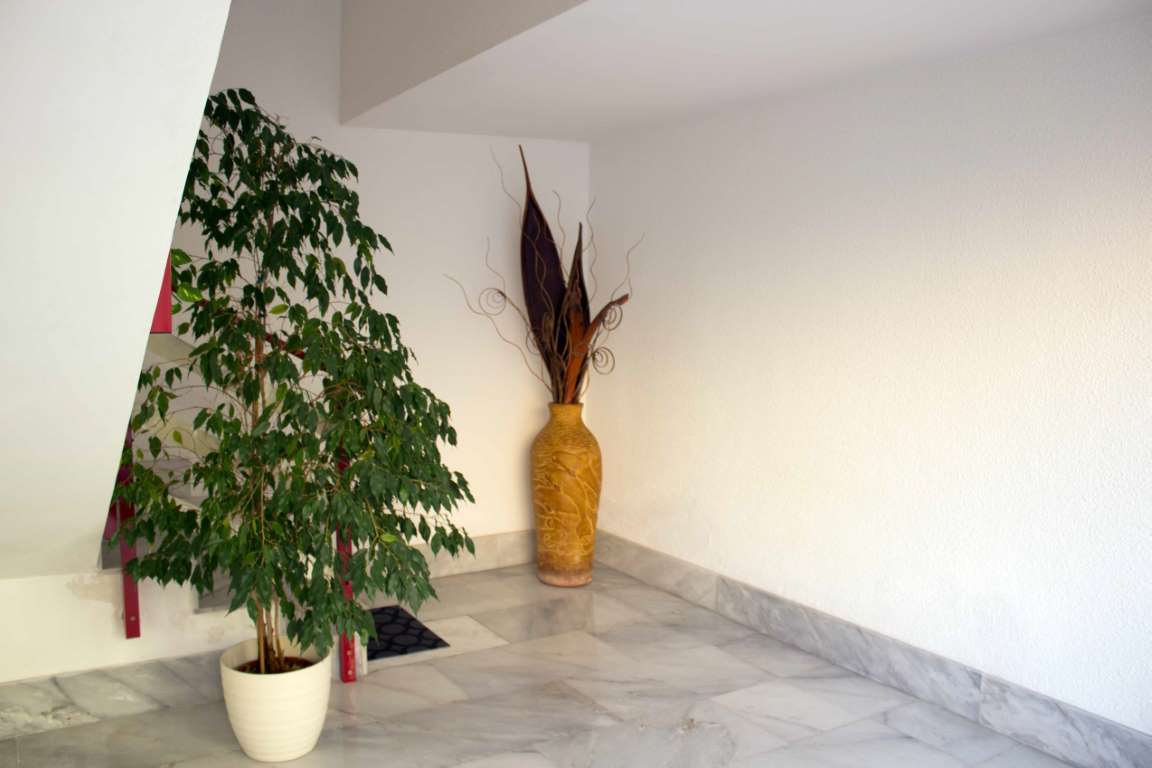 Giano Group Immobiliare