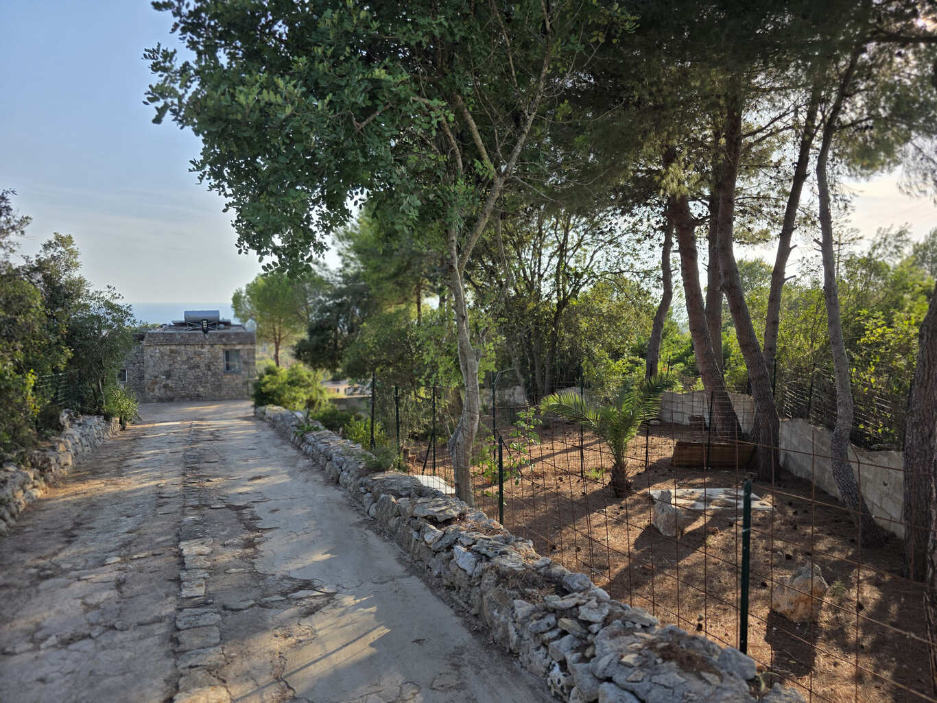 Giano Group Immobiliare