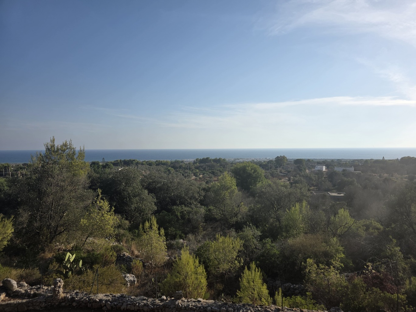 Giano Group Immobiliare