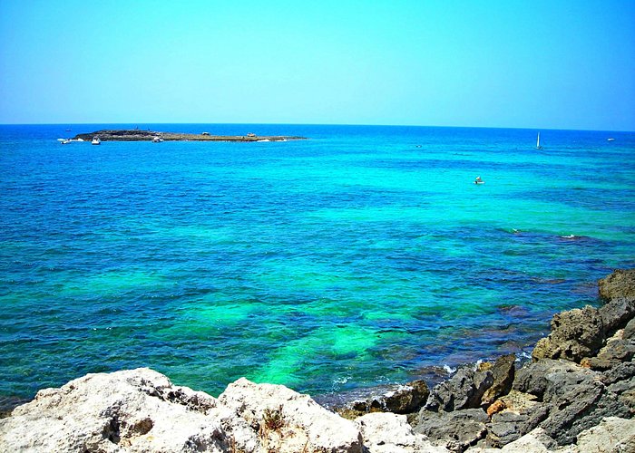 Giano Group Immobiliare