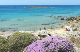 Giano Group Immobiliare